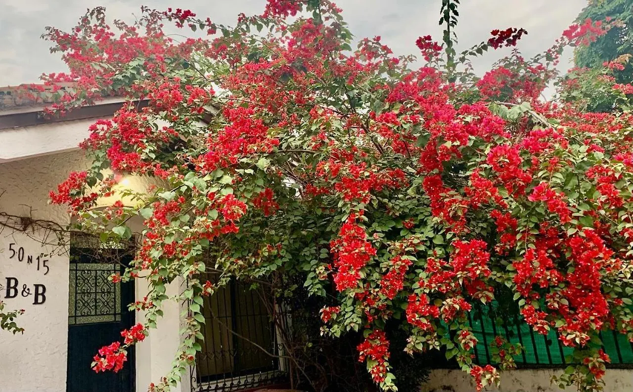 50N15 B&B Cali